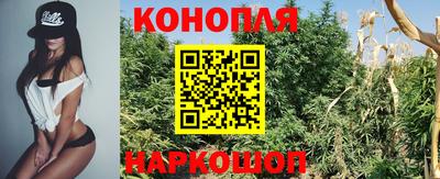 молекула духа Краснознаменск