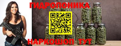 молекула духа Краснознаменск
