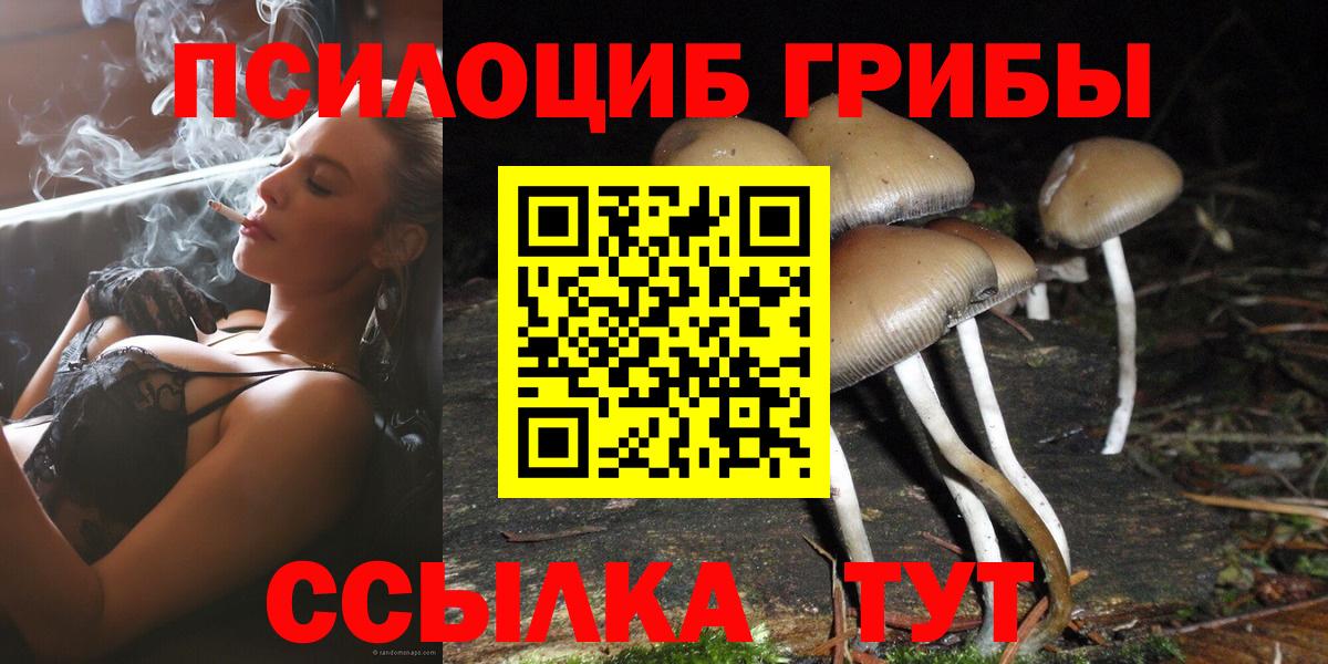 Псилоцибиновые грибы прущие грибы  Галлюциногенные грибы мухоморы  Вход с VPN  Чистополь 