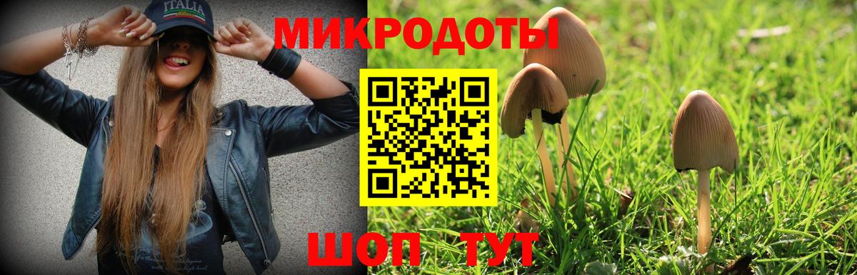 Галлюциногенные грибы Psilocybine cubensis Чистополь